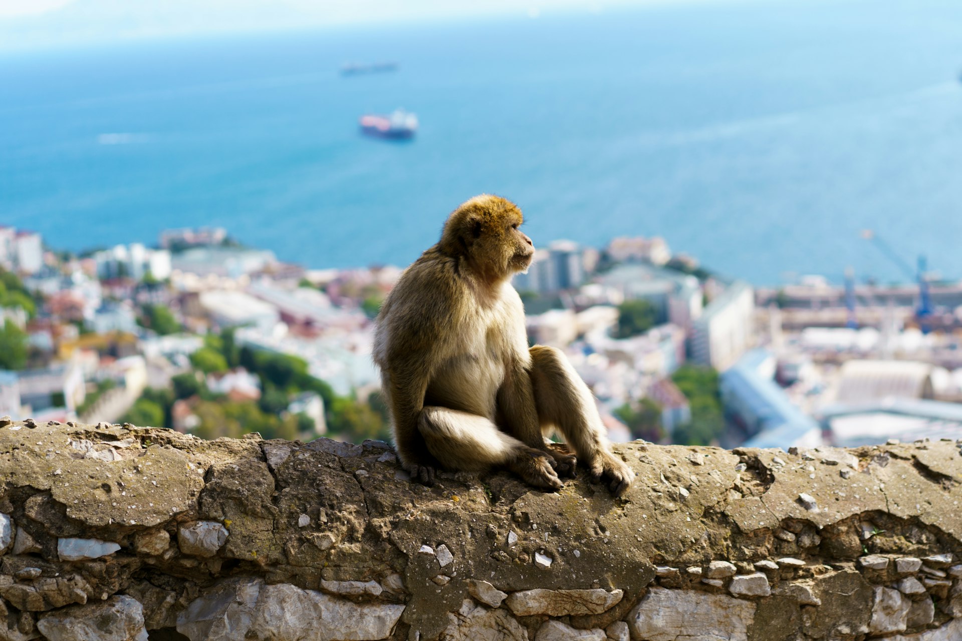 gibraltar-abe-hero