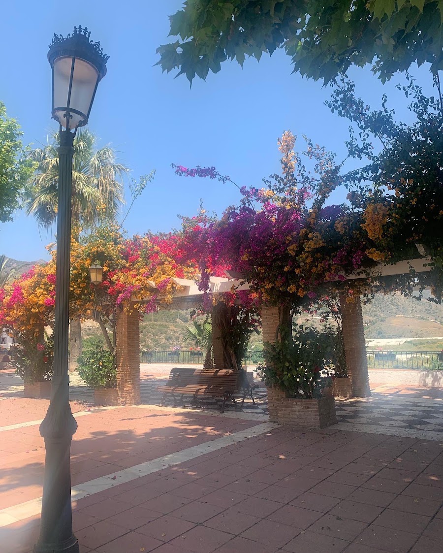 Maro ved Nerja